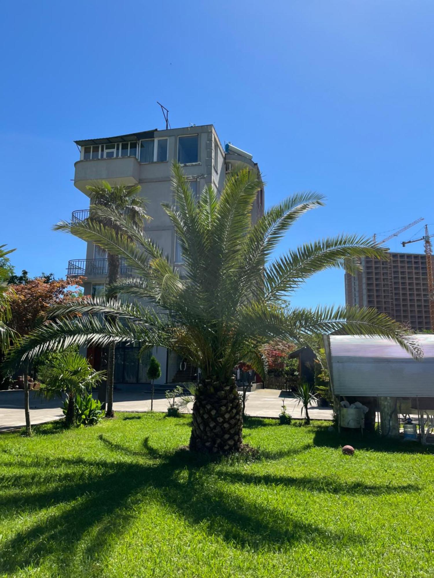 Hotel Dadu Batumi Exterior photo